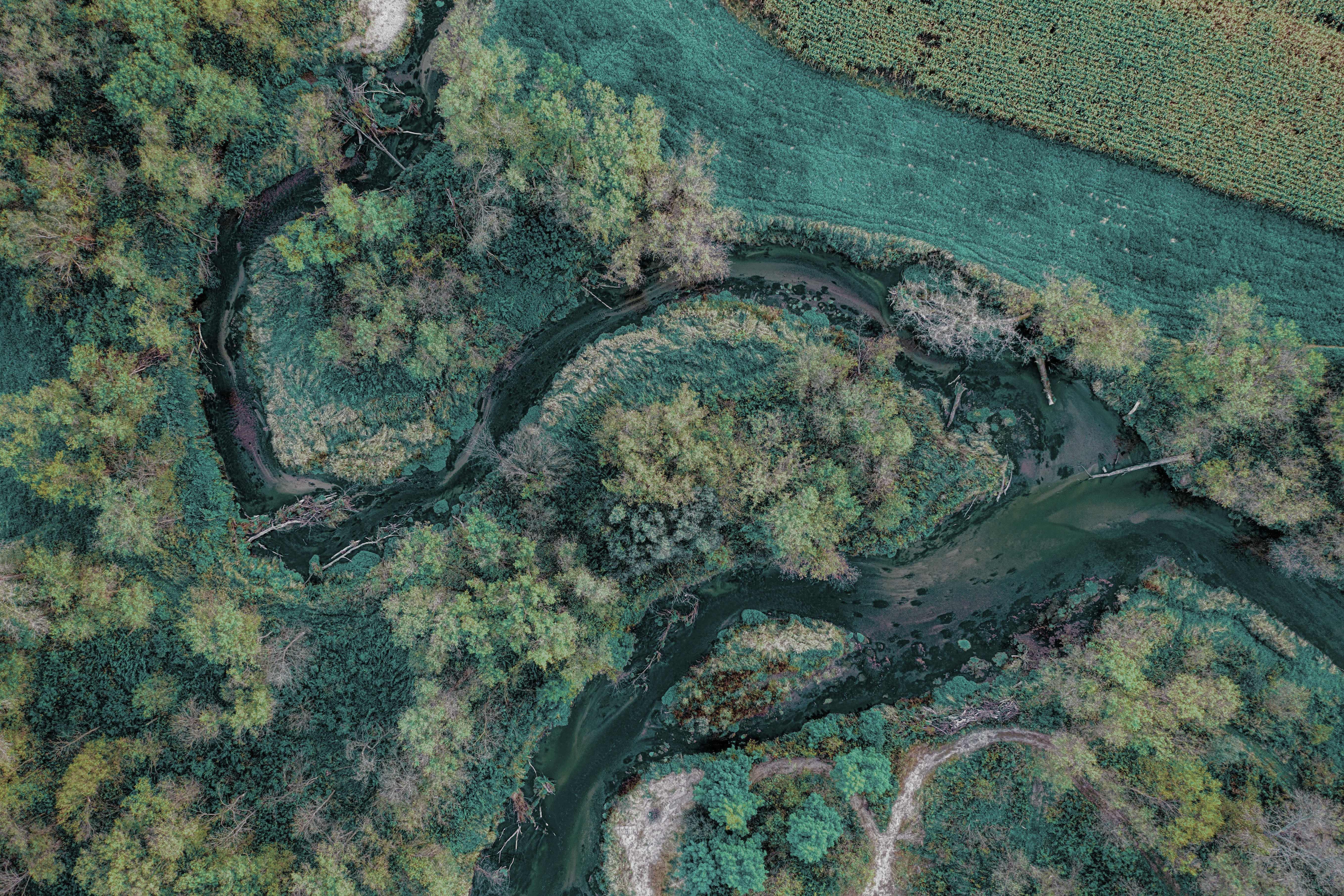 Flusslandschaft